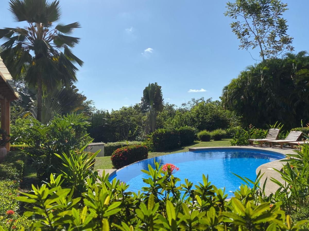 Palm Coast Luxury Rentals Esterillos Este Exterior foto